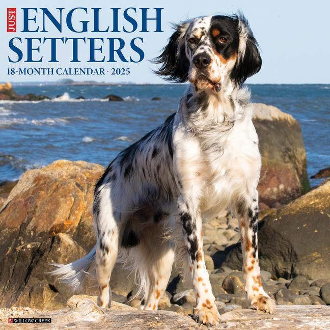 Cover: 9781549242816 | Just English Setters 2025 12 X 12 Wall Calendar | Willow Creek Press