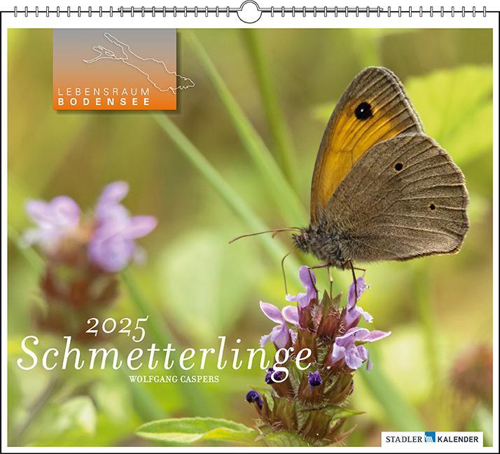Cover: 9783861924272 | Lebensraum Bodensee - Schmetterlinge 2025 | Kalender | Spiralbindung