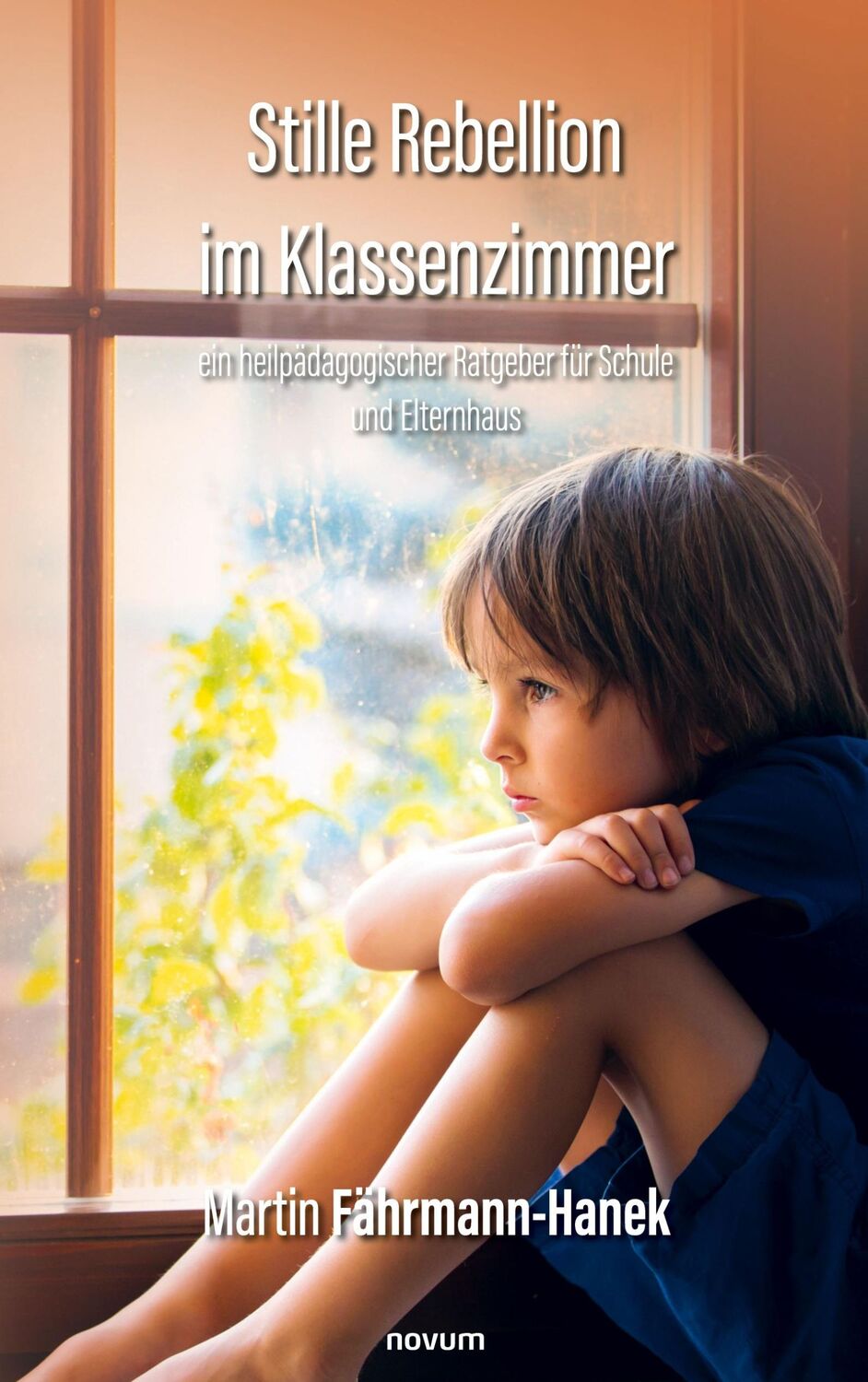 Cover: 9783991469155 | Stille Rebellion im Klassenzimmer | Martin Fährmann-Hanek | Buch