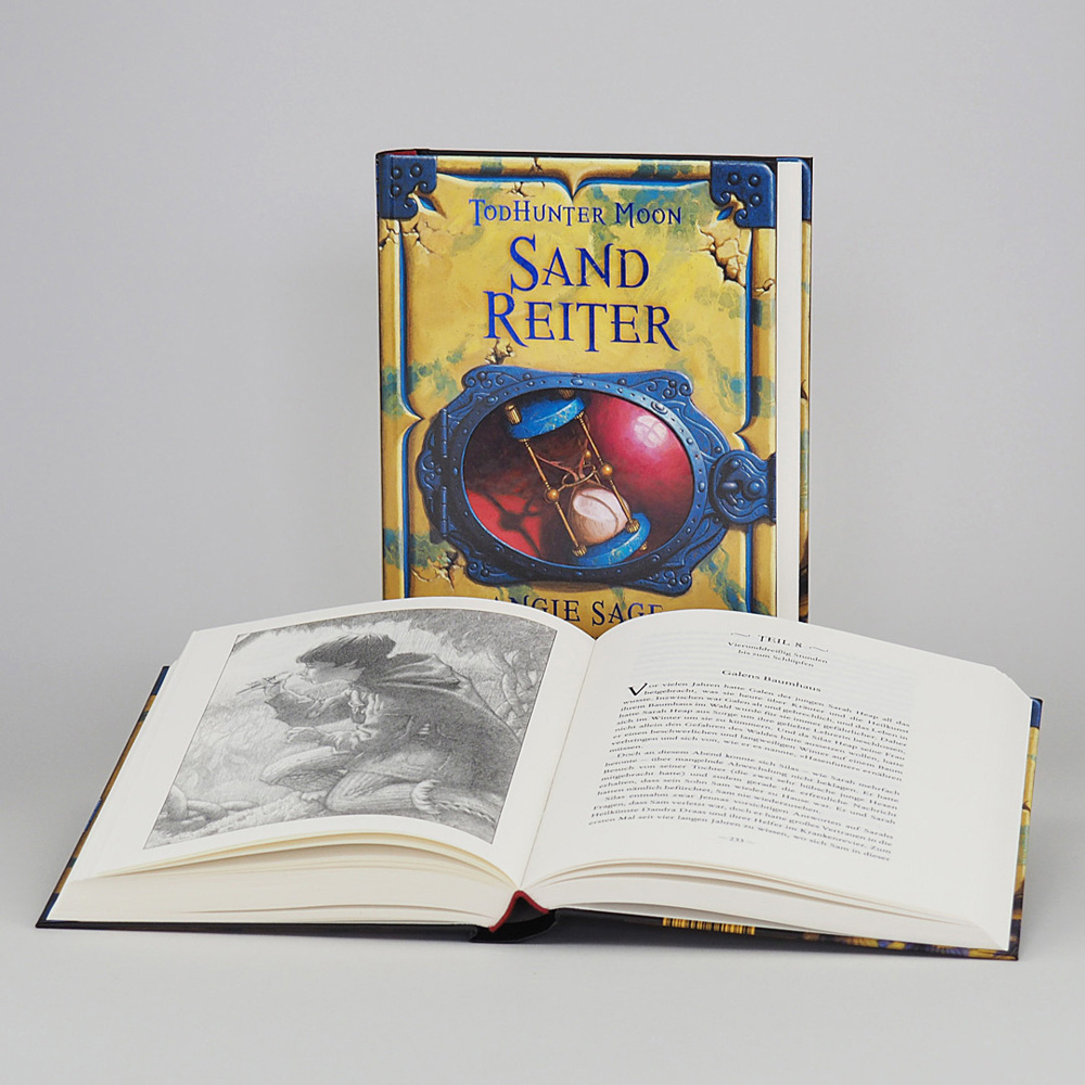 Bild: 9783446255685 | TodHunter Moon - SandReiter | Angie Sage | Buch | 368 S. | Deutsch