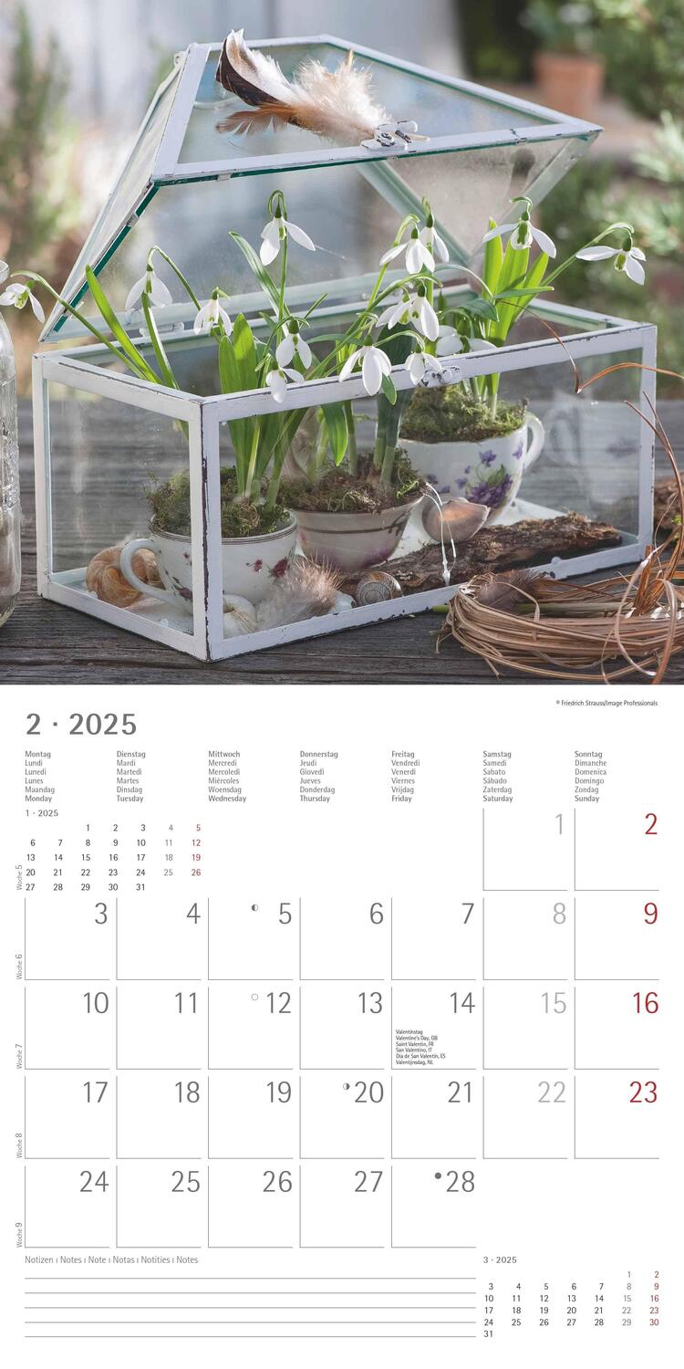 Bild: 4251732340636 | Garden &amp; Decoration 2025 - Broschürenkalender 30x30 cm (30x60...