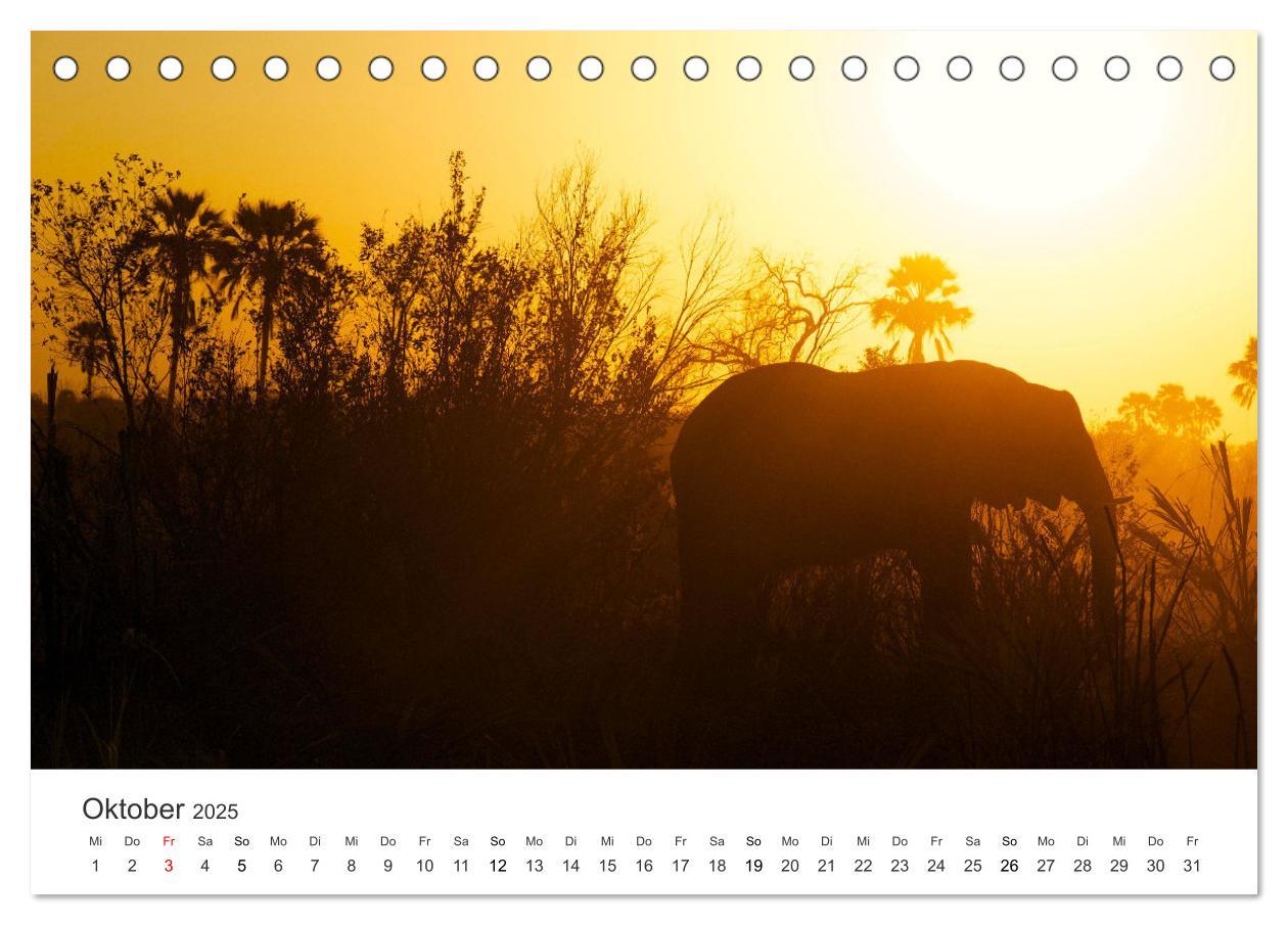 Bild: 9783383956713 | Botswana - Grandiose Wildnis (Tischkalender 2025 DIN A5 quer),...