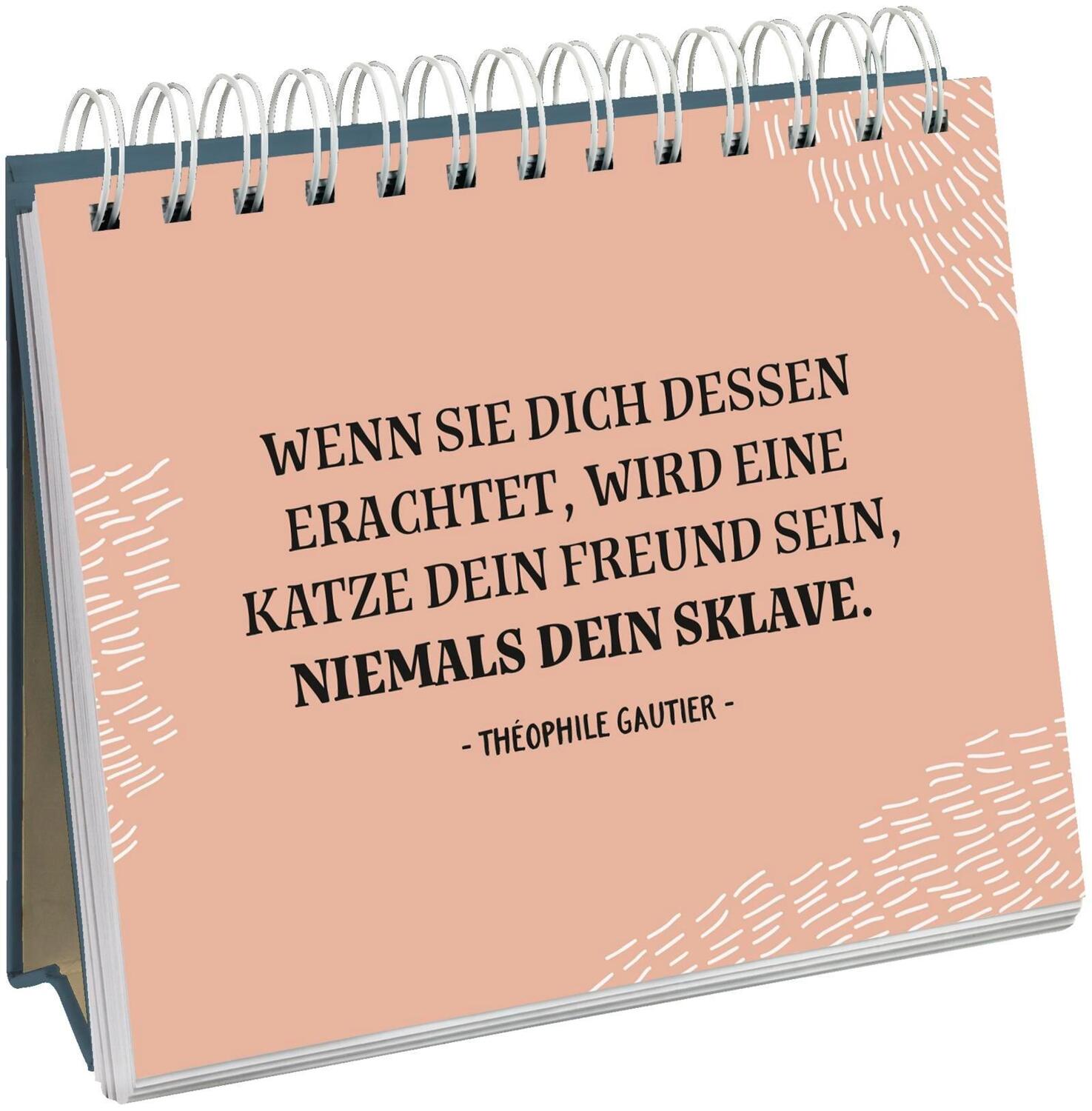 Bild: 9783848524143 | Cat philosophy | Entdecke die Katze in dir | Groh Verlag | Taschenbuch