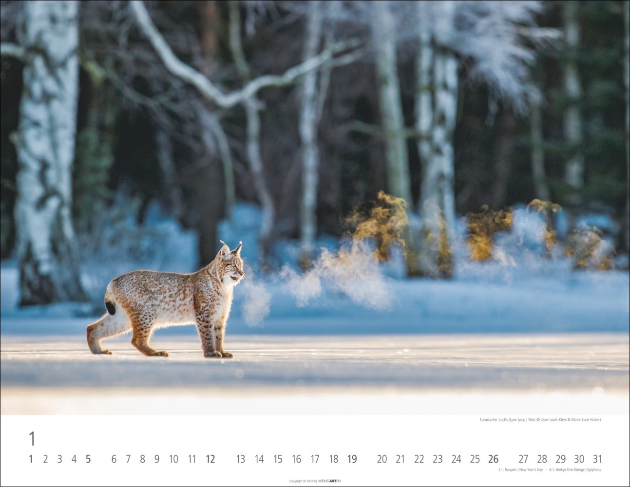 Bild: 9783839901144 | Heimische Wildtiere Kalender 2025 | Kalender | Spiralbindung | 14 S.