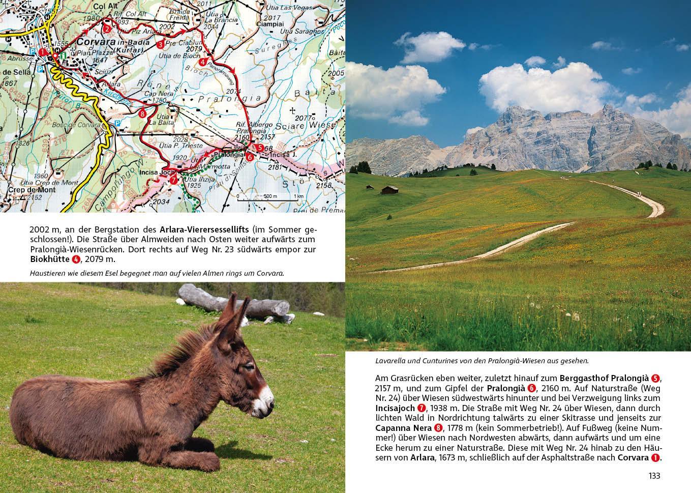 Bild: 9783763340606 | Dolomiten 3 | Franz Hauleitner | Taschenbuch | Rother Wanderführer