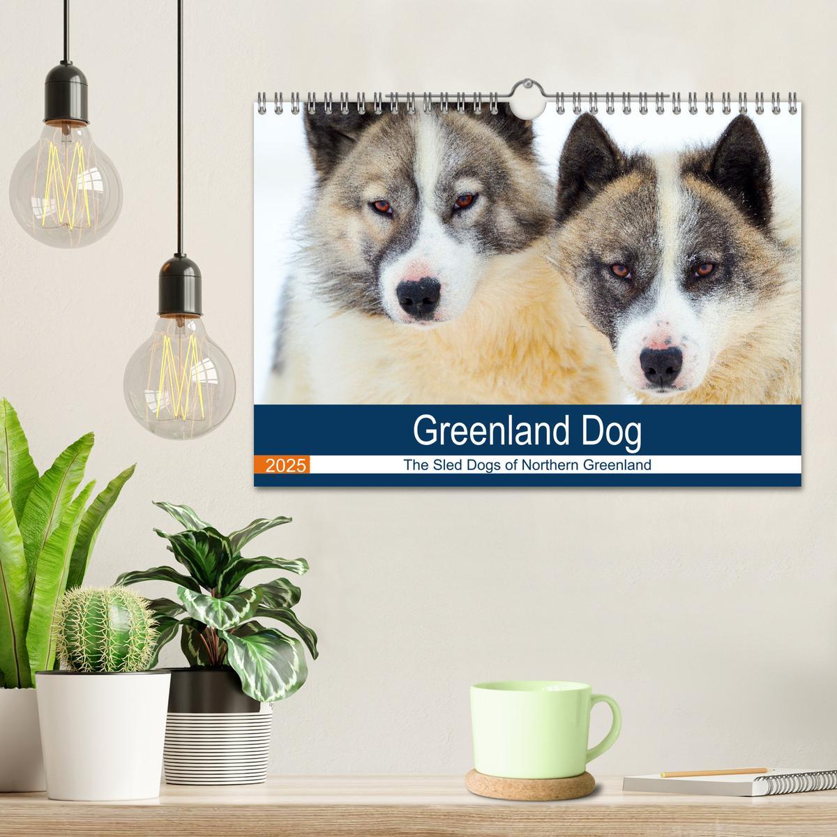 Bild: 9781325937998 | Greenland Dog - The Sled Dogs of Northern Greenland (Wall Calendar...