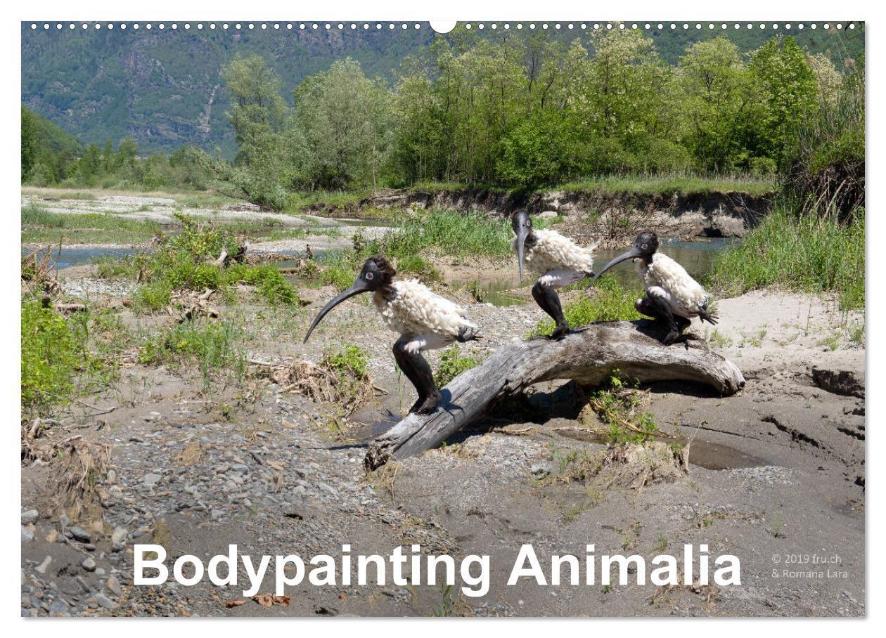 Cover: 9783675861961 | Bodypainting Animalia (Wandkalender 2024 DIN A2 quer), CALVENDO...