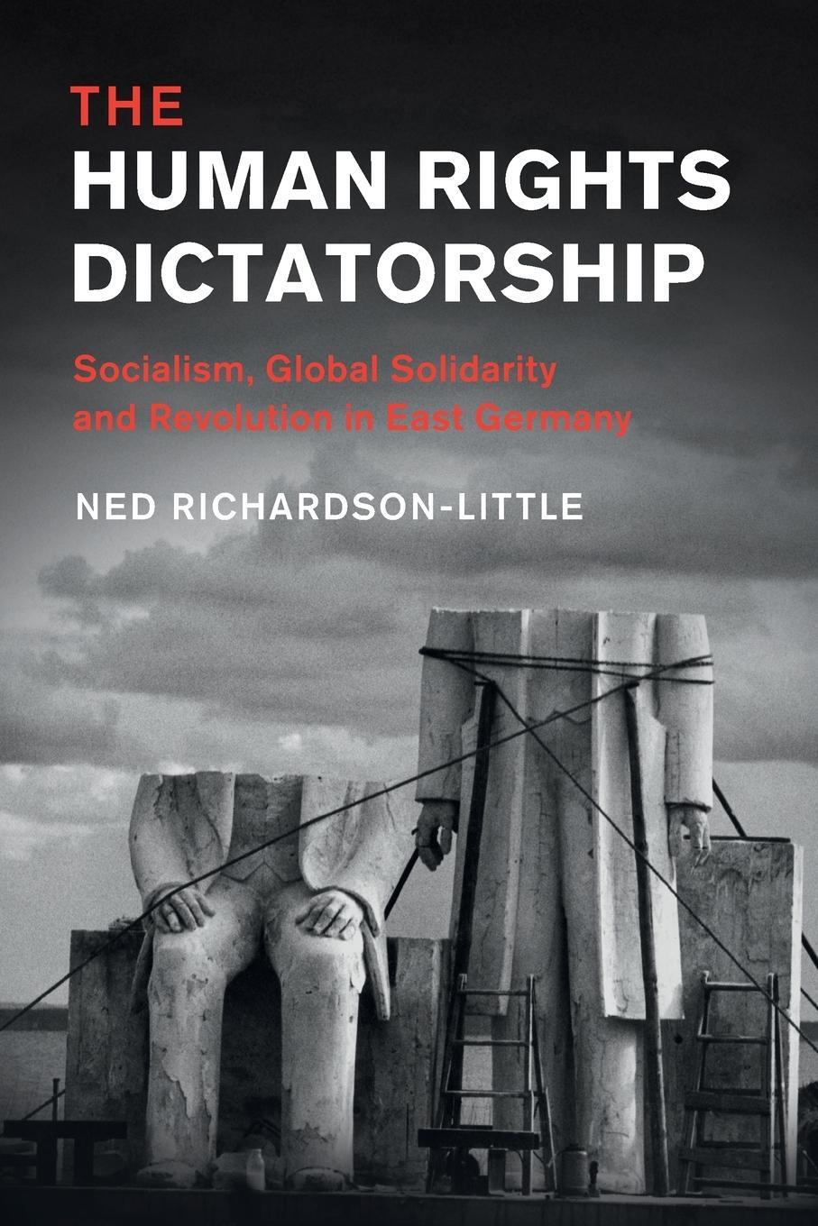 Cover: 9781108440783 | The Human Rights Dictatorship | Ned Richardson-Little | Taschenbuch
