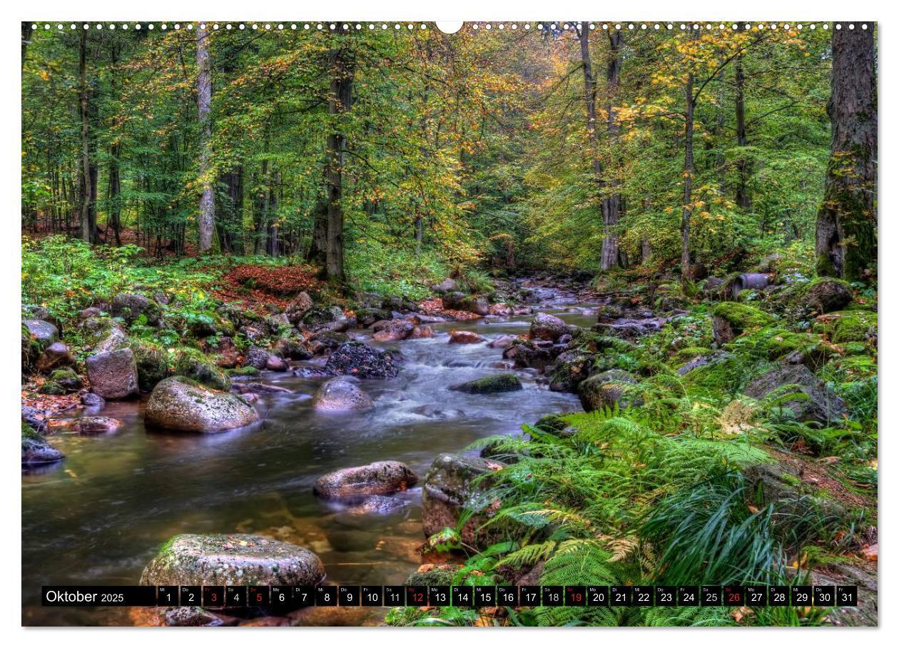 Bild: 9783435789221 | Harz Landschaften (Wandkalender 2025 DIN A2 quer), CALVENDO...