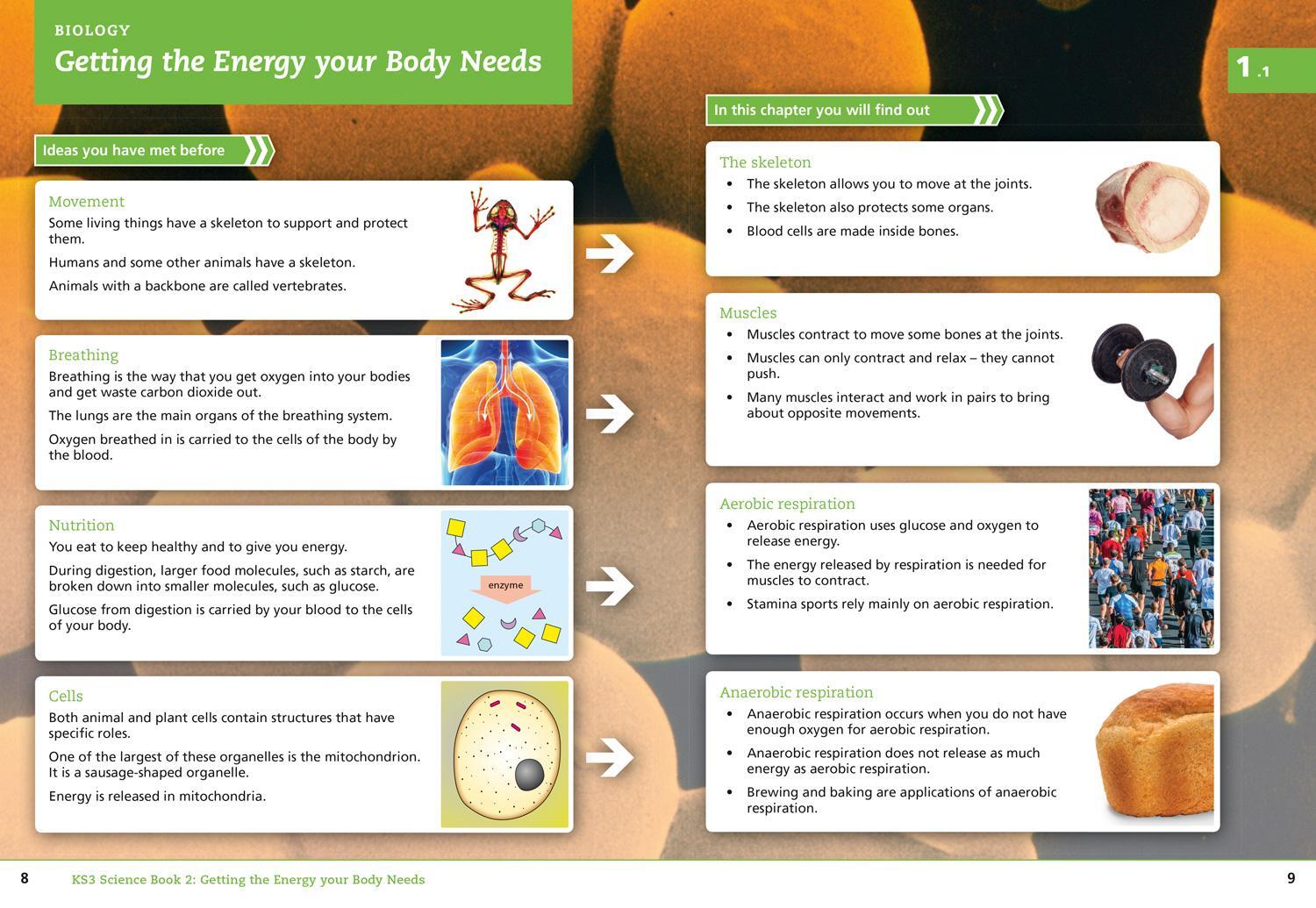 Bild: 9780007540211 | Key Stage 3 Science: Student Book 2 | Sarah Askey (u. a.) | Buch