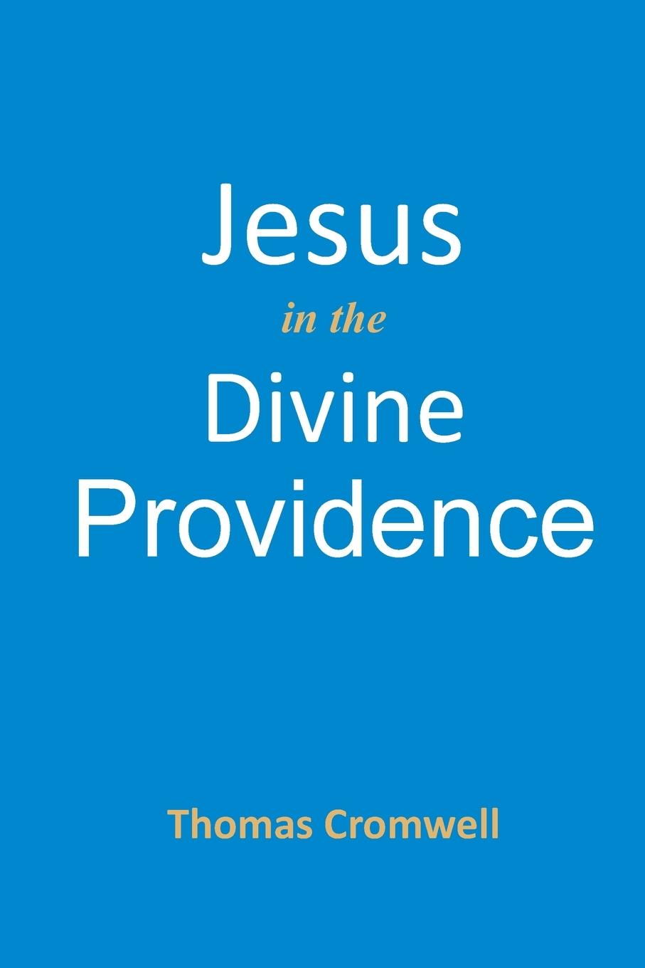 Cover: 9781737441878 | Jesus in the Divine Providence | Thomas Cromwell | Taschenbuch | 2022