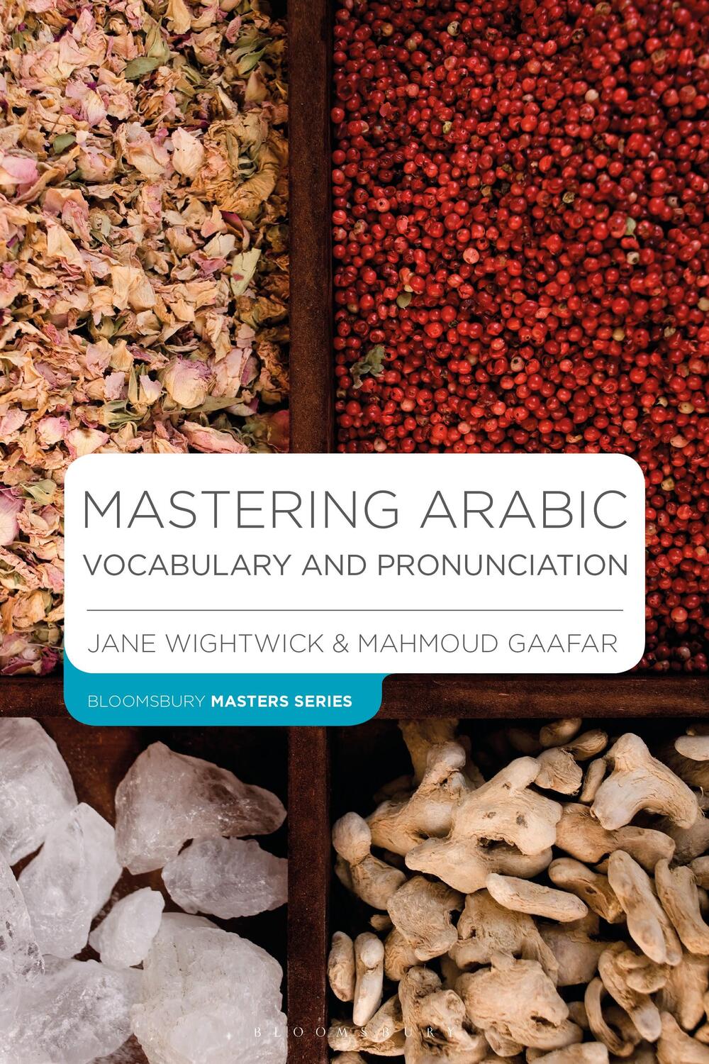 Cover: 9781352002256 | Mastering Arabic Vocabulary and Pronunciation | Jane Wightwick (u. a.)
