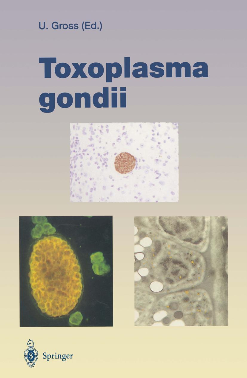 Cover: 9783642510168 | Toxoplasma gondii | Uwe Gross | Taschenbuch | Paperback | xi | 2012