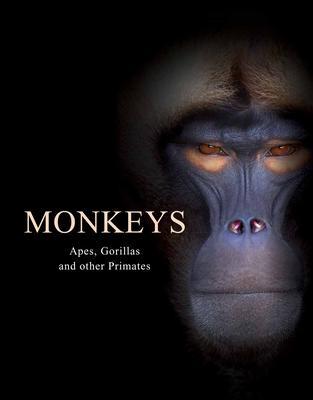 Cover: 9781838861001 | Monkeys | Apes, Gorillas and other Primates | Tom Jackson | Buch
