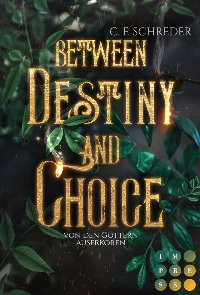 Cover: 9783551304179 | Between Destiny and Choice. Von den Göttern auserkoren | Schreder