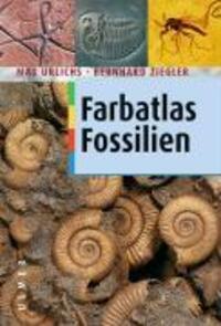 Cover: 9783800135783 | Farbatlas Fossilien | Max Urlichs (u. a.) | Buch | Deutsch | 2003