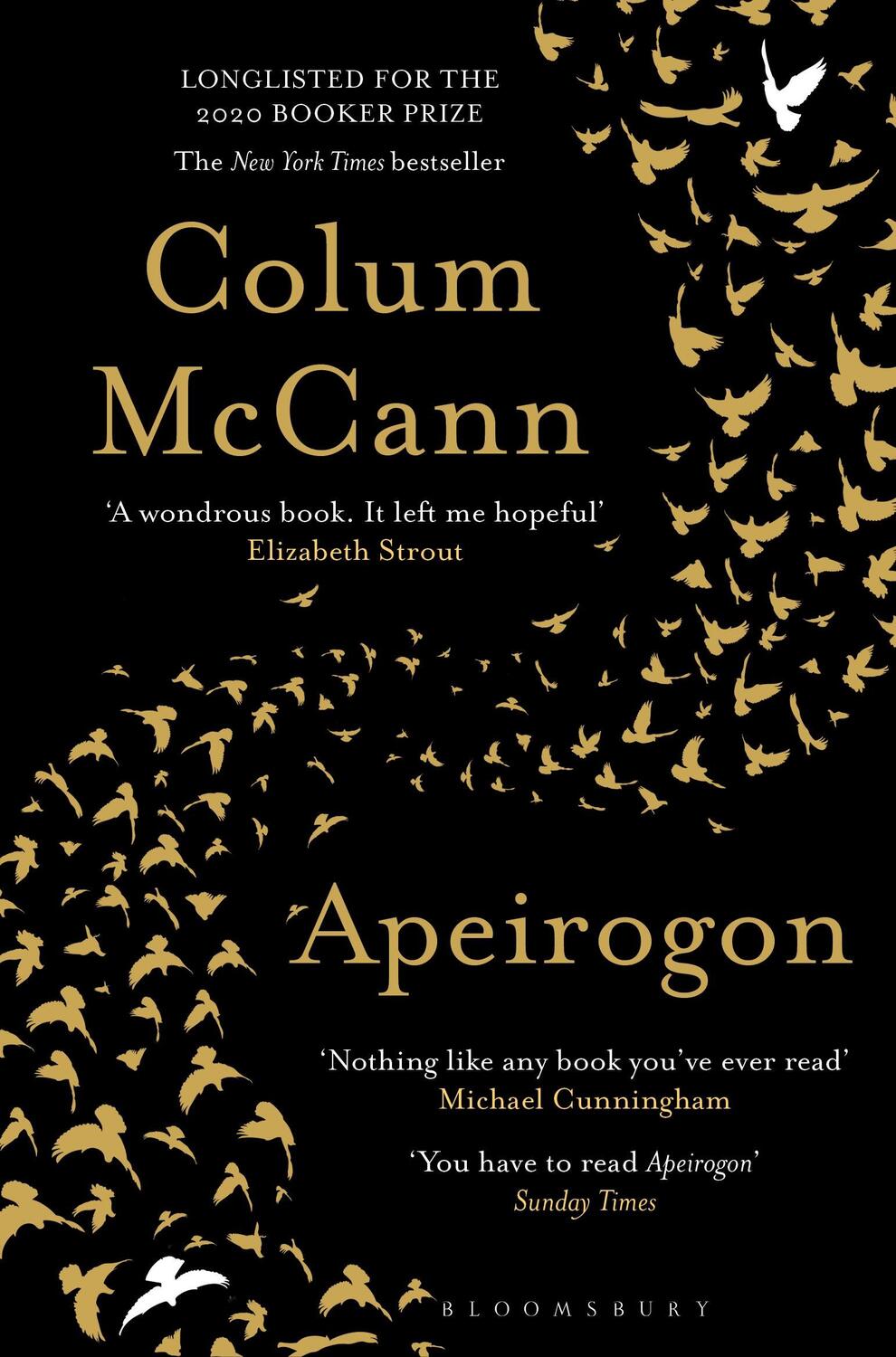 Cover: 9781526607898 | Apeirogon | A Novel | Colum McCann | Taschenbuch | 480 S. | Englisch