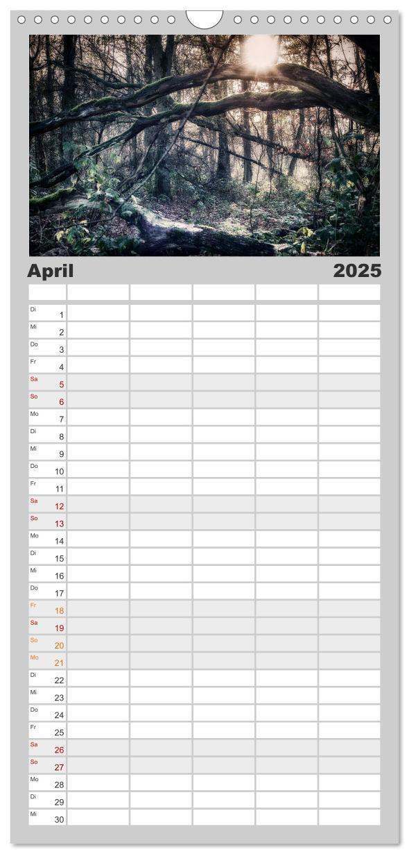 Bild: 9783457106006 | Familienplaner 2025 - Mystische Wälder mit 5 Spalten (Wandkalender,...