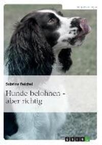 Cover: 9783656538868 | Hunde belohnen - aber richtig | Sabrina Reichel | Taschenbuch | 68 S.