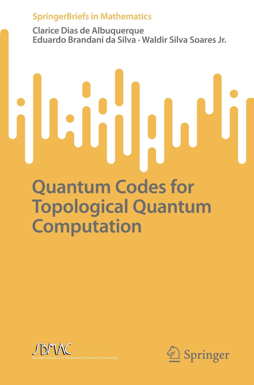 Cover: 9783031068324 | Quantum Codes for Topological Quantum Computation | Taschenbuch | viii