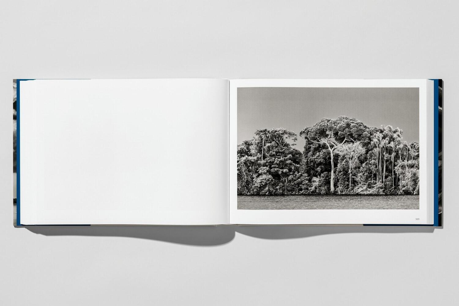 Bild: 9783836585132 | Sebastião Salgado. Amazônia | Lélia Wanick Salgado | Buch | Spanisch