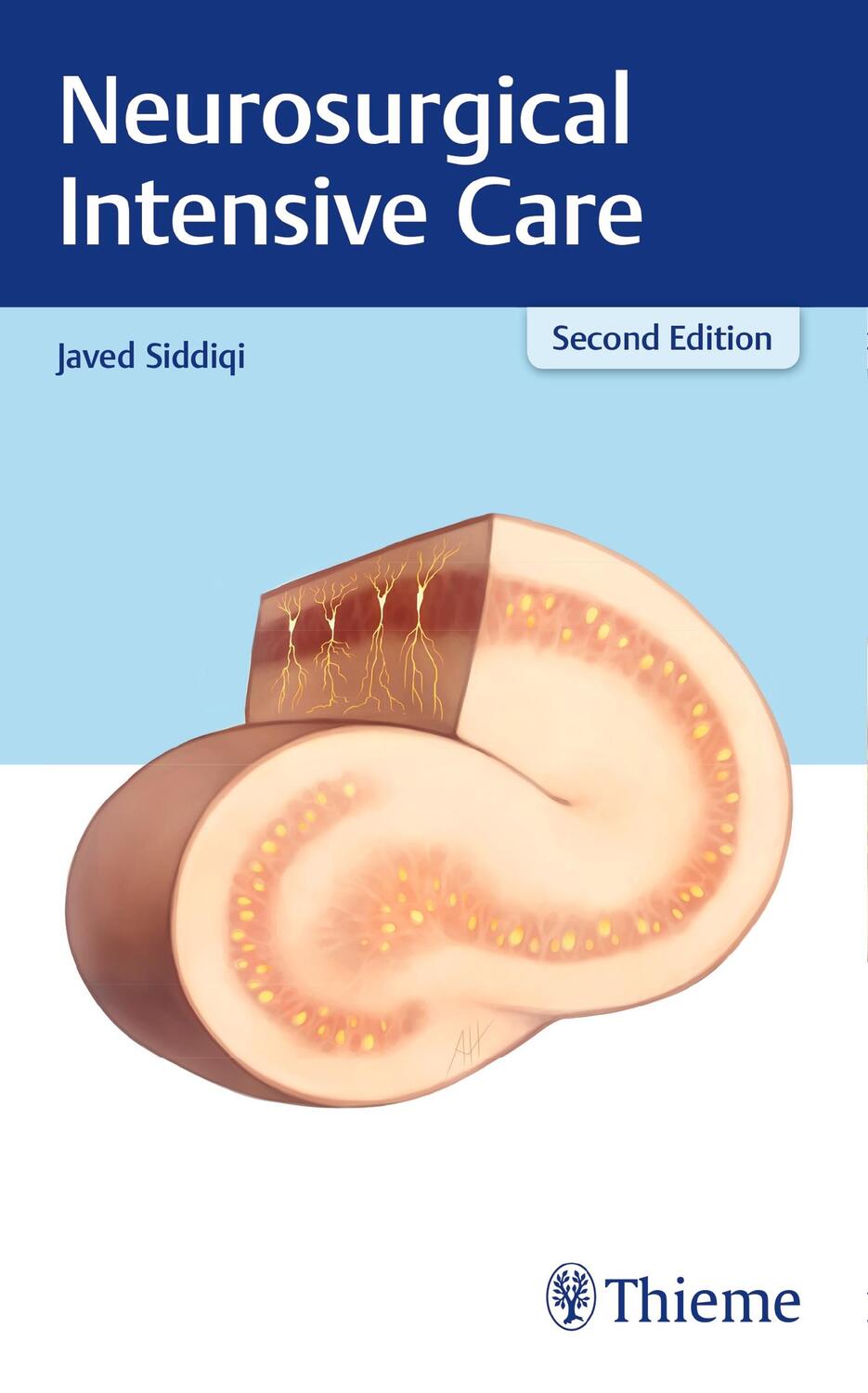 Cover: 9781626232341 | Neurosurgical Intensive Care | Javed Siddiqi | Taschenbuch | Englisch