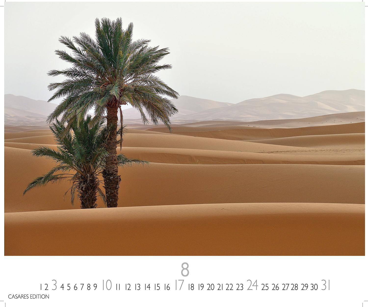 Bild: 9781835240533 | Sahara 2025 S 24x35 cm | Kalender | 14 S. | Deutsch | 2025