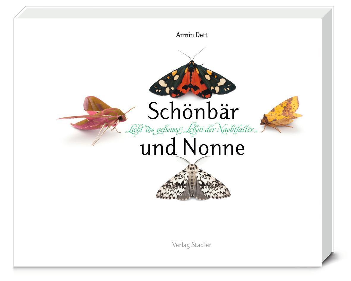 Cover: 9783797705709 | Schönbär und Nonne | Licht ins geheime Leben der Nachfalter | Dett