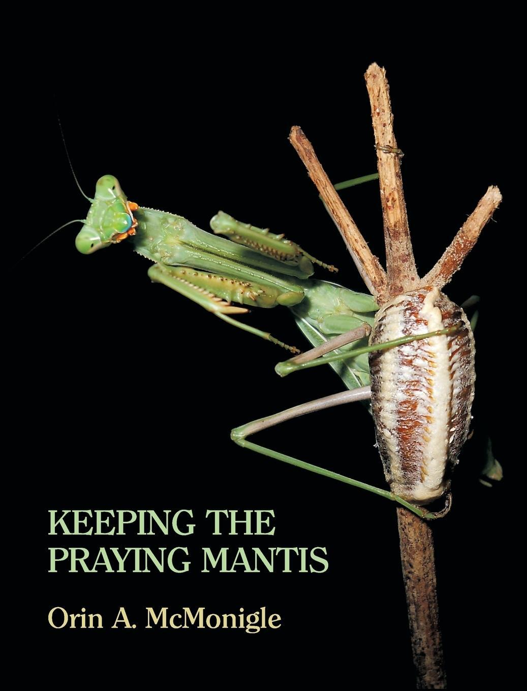 Cover: 9781616461669 | Keeping the Praying Mantis | Orin McMonigle | Buch | Englisch | 2013