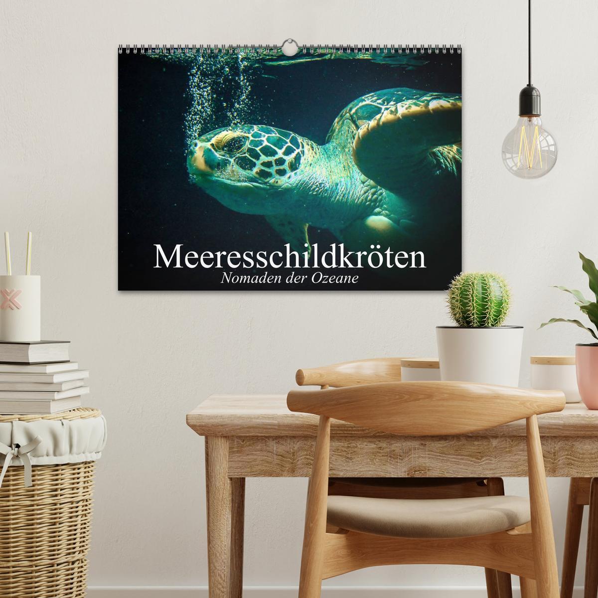 Bild: 9783435589036 | Meeresschildkröten. Nomaden der Ozeane (Wandkalender 2025 DIN A3...