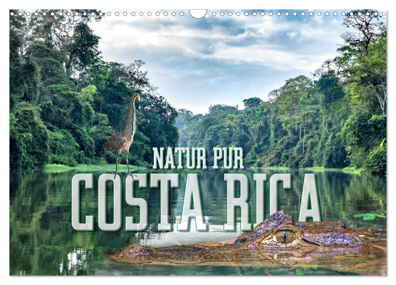 Cover: 9783435372492 | Natur pur, Costa Rica (Wandkalender 2025 DIN A3 quer), CALVENDO...