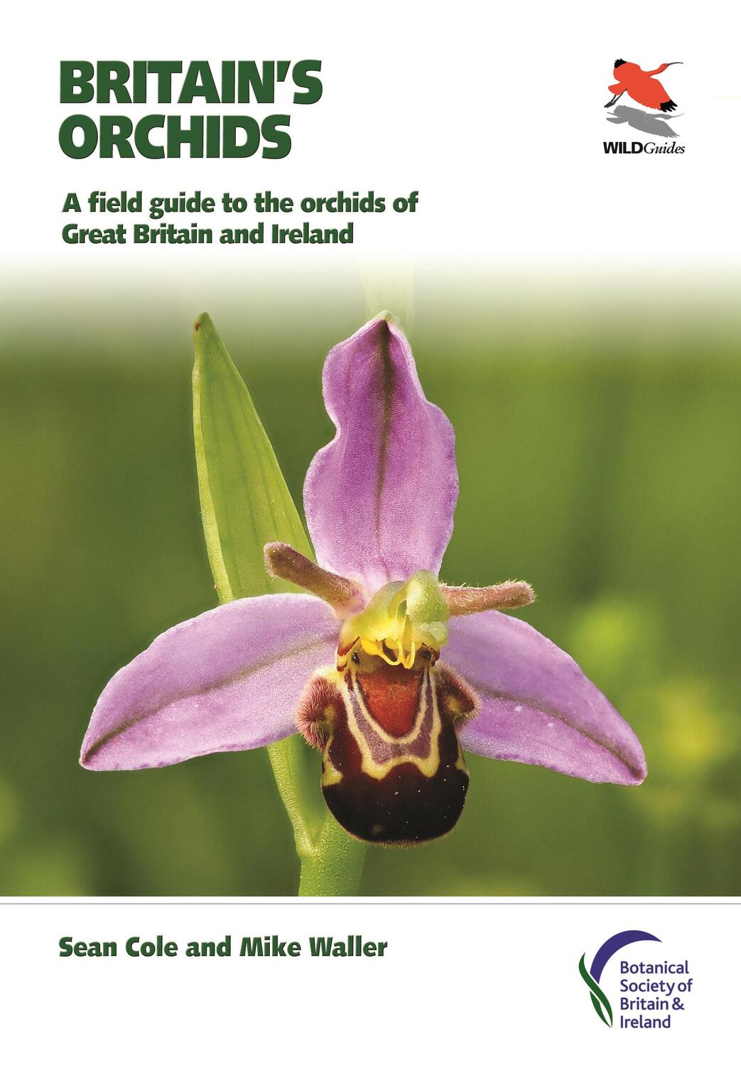 Cover: 9780691177618 | Britain's Orchids | Mike Waller (u. a.) | Taschenbuch | Englisch