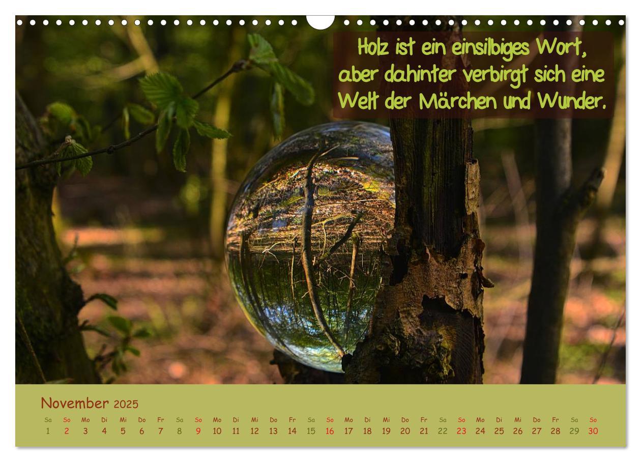 Bild: 9783435486960 | Wunderbare Waldkugeln (Wandkalender 2025 DIN A3 quer), CALVENDO...