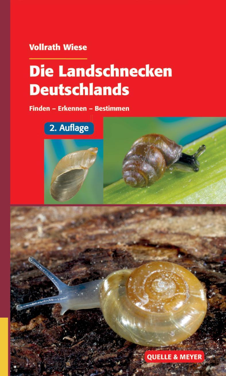 Cover: 9783494016863 | Die Landschnecken Deutschlands | Finden - Erkennen - Bestimmen | Wiese