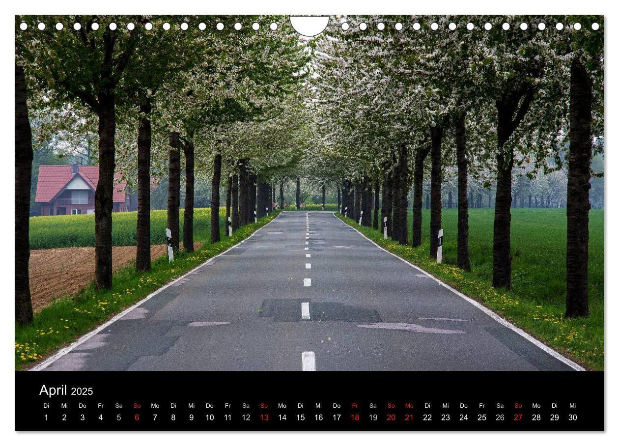 Bild: 9783435648641 | 365 Tage Herford (Wandkalender 2025 DIN A4 quer), CALVENDO...