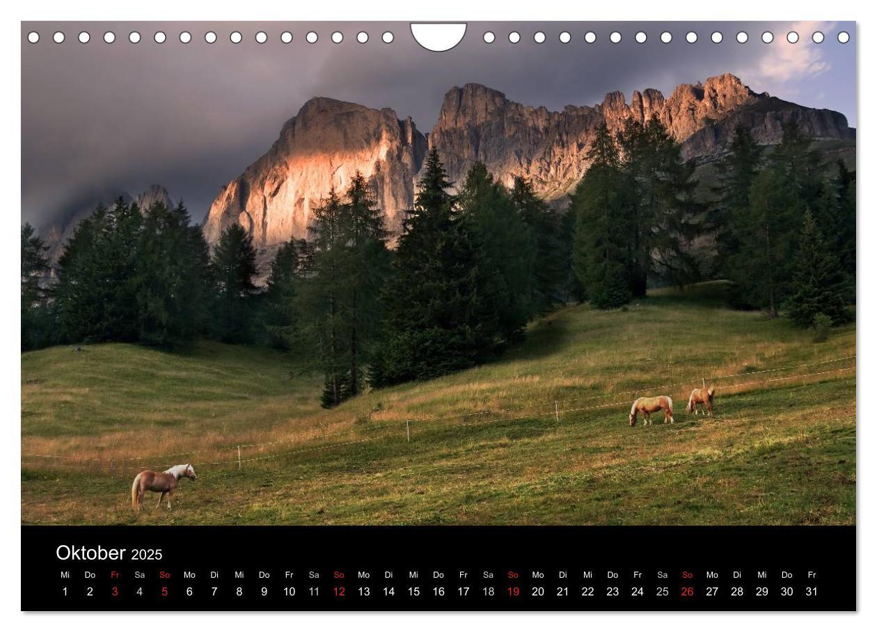 Bild: 9783435565139 | Wunderschöne Haflingerwelt (Wandkalender 2025 DIN A4 quer),...