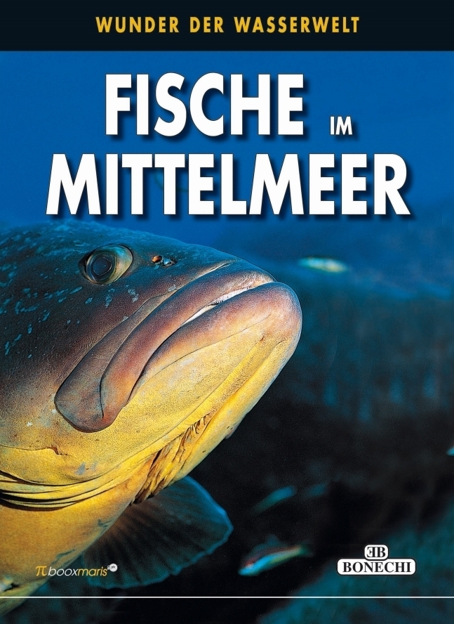 Cover: 9783944027357 | Fische im Mittelmeer | Wunder der Wasserwelt | Andrea Ghisotti | Buch