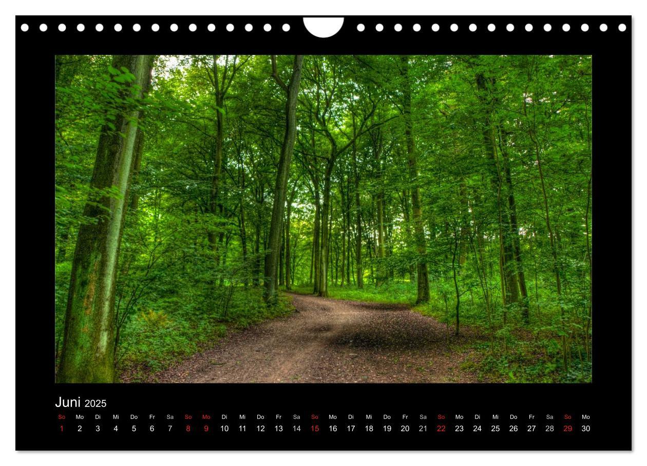 Bild: 9783435790135 | Landschaften im besonderen Licht (Wandkalender 2025 DIN A4 quer),...