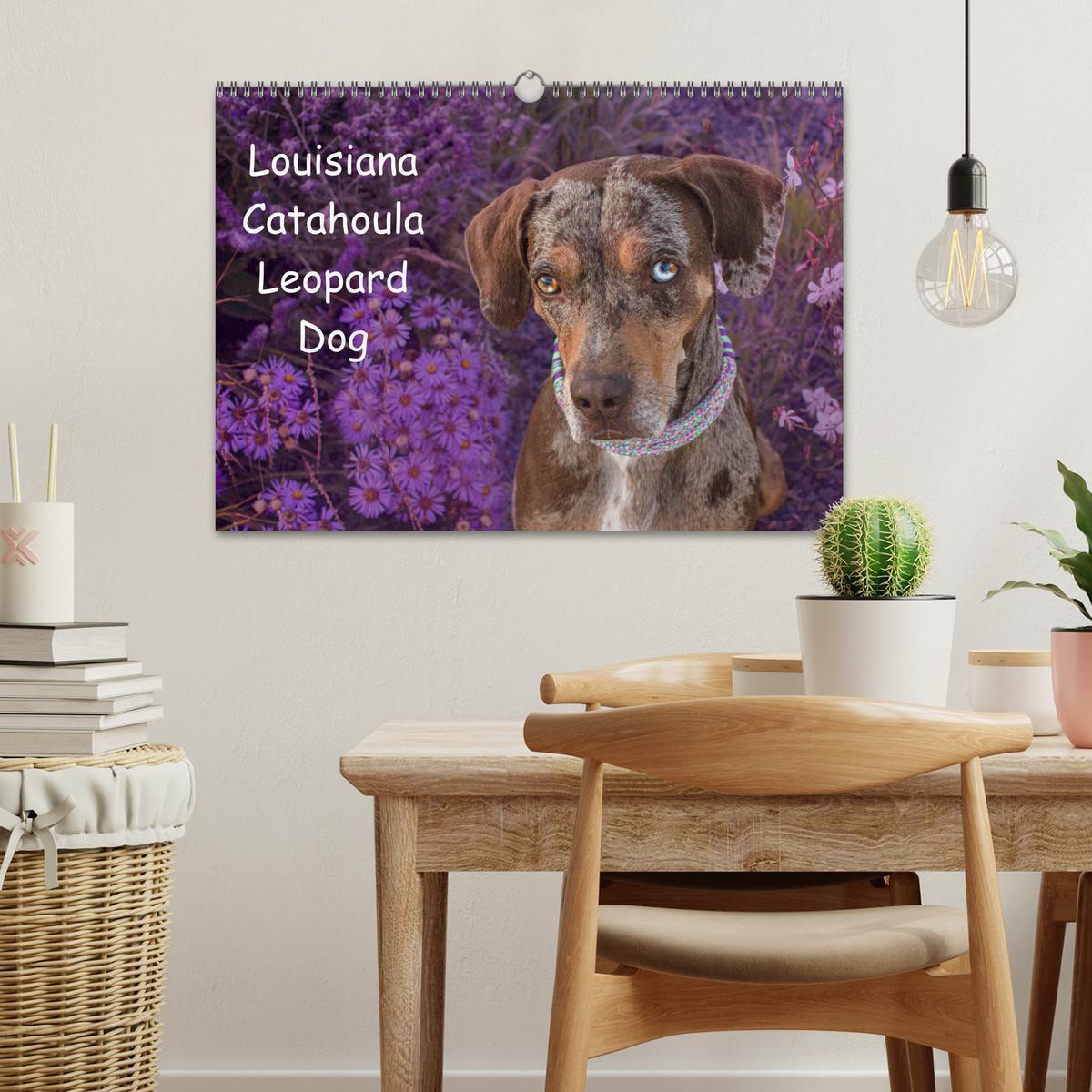 Bild: 9783435180684 | Lousiana Catahoula Leopard (Wandkalender 2025 DIN A3 quer),...