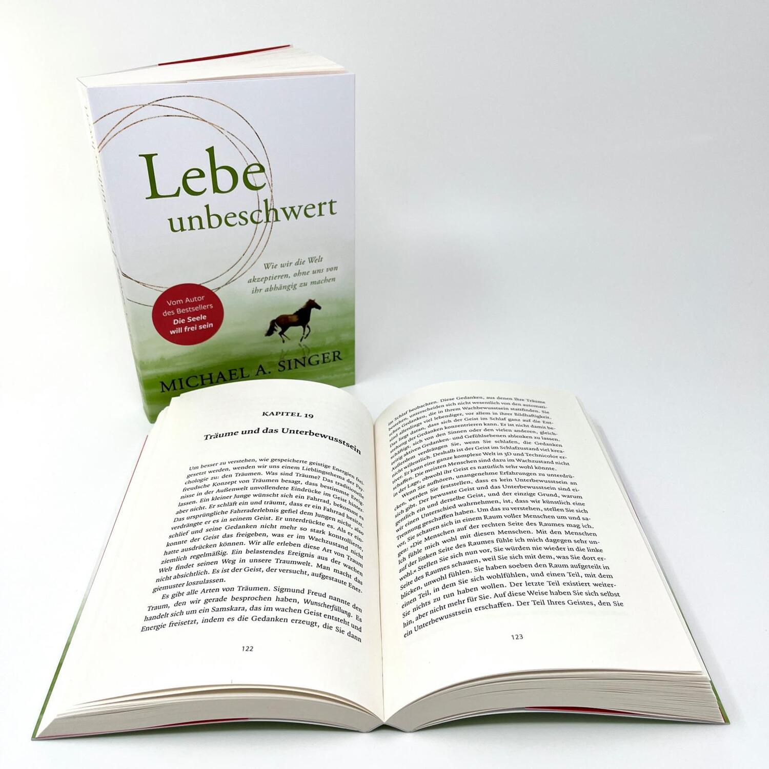 Bild: 9783793424543 | Lebe unbeschwert | Michael A. Singer | Taschenbuch | 272 S. | Deutsch