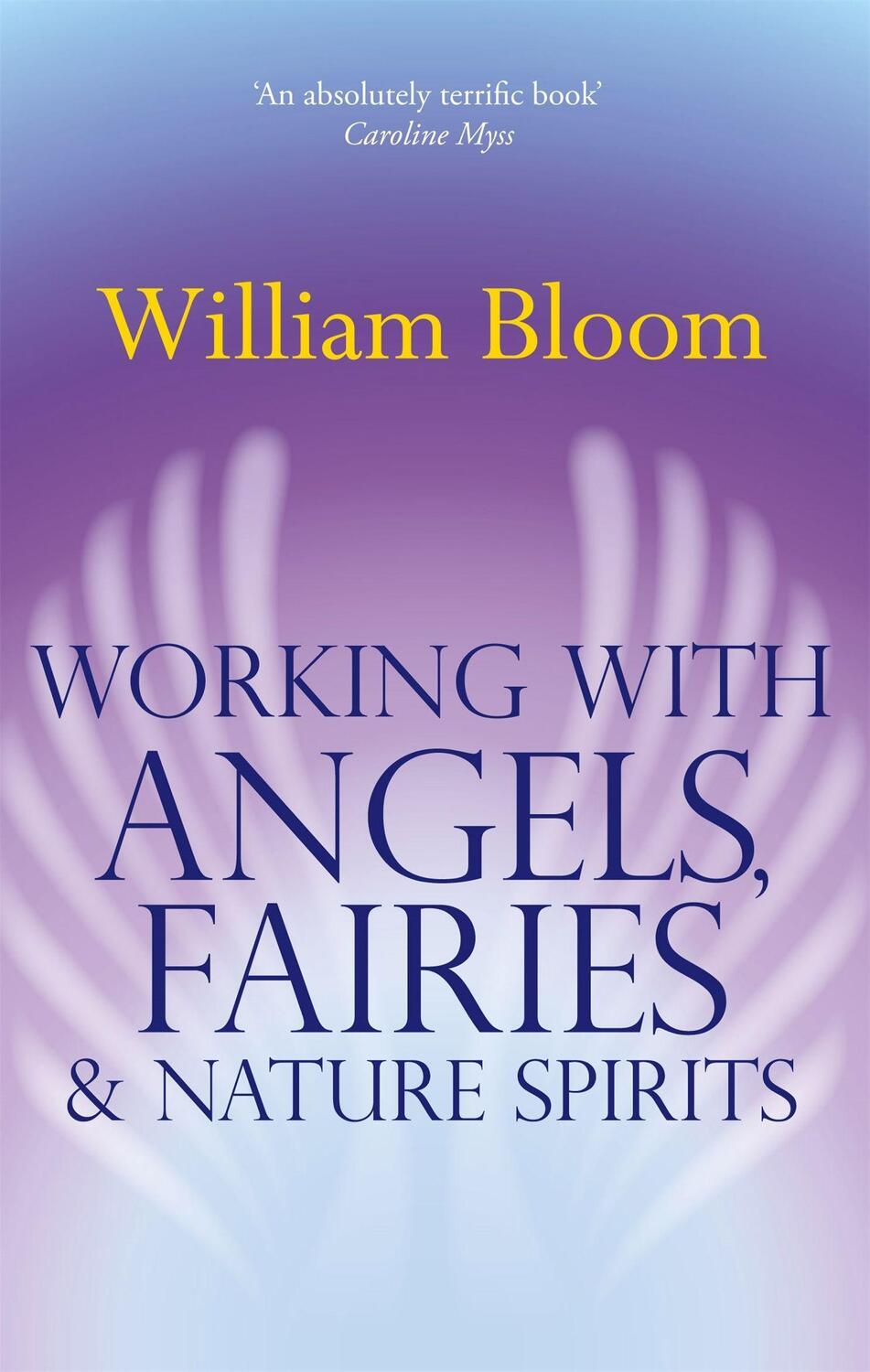 Cover: 9780749941161 | Working With Angels, Fairies And Nature Spirits | Dr. William Bloom