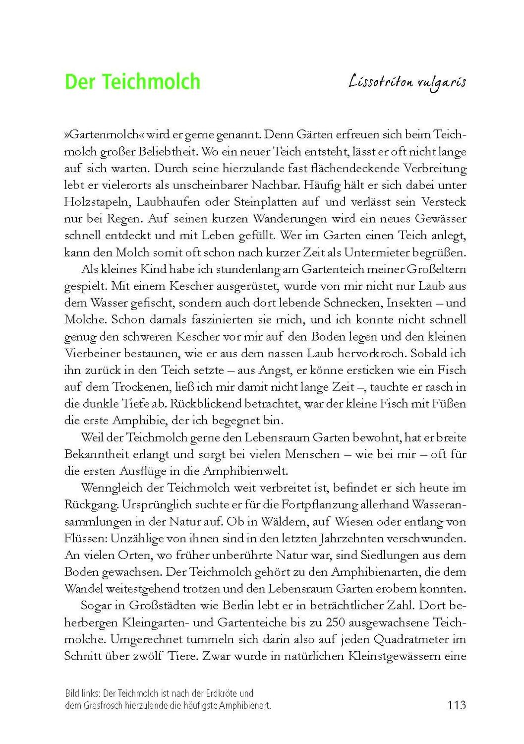 Bild: 9783895664199 | Wunderwelt heimische Amphibien | Farina Graßmann | Buch | 176 S.