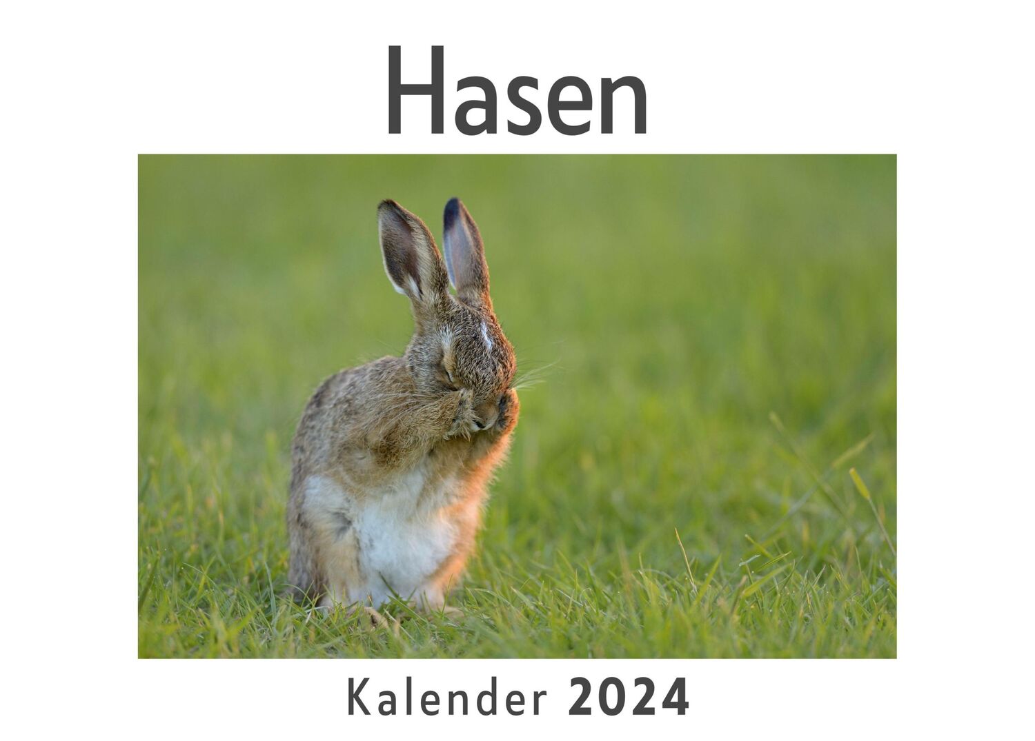 Cover: 9783750547544 | Hasen (Wandkalender 2024, Kalender DIN A4 quer, Monatskalender im...