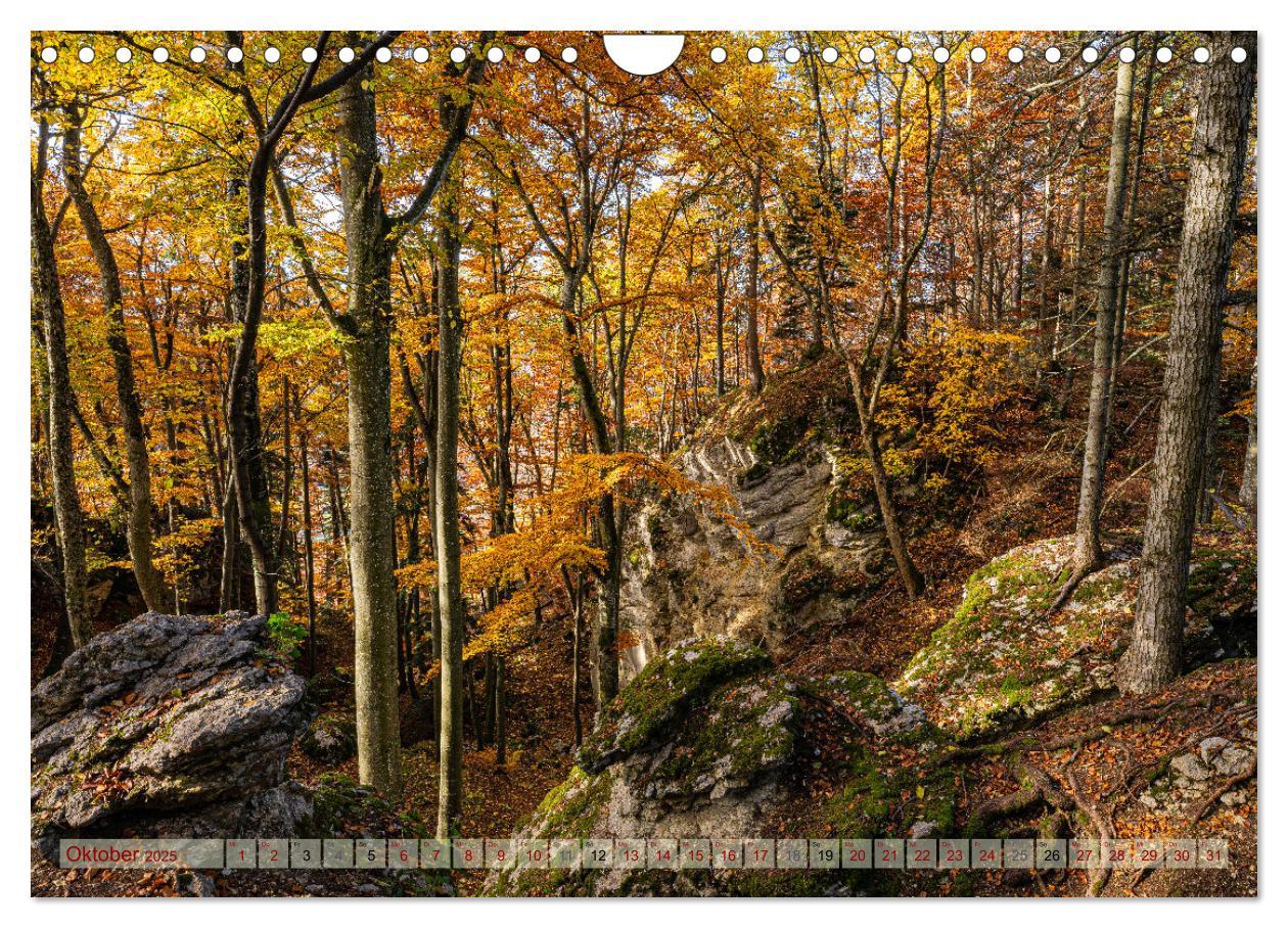 Bild: 9783383849749 | Wanderparadies Schwäbische Alb (Wandkalender 2025 DIN A4 quer),...