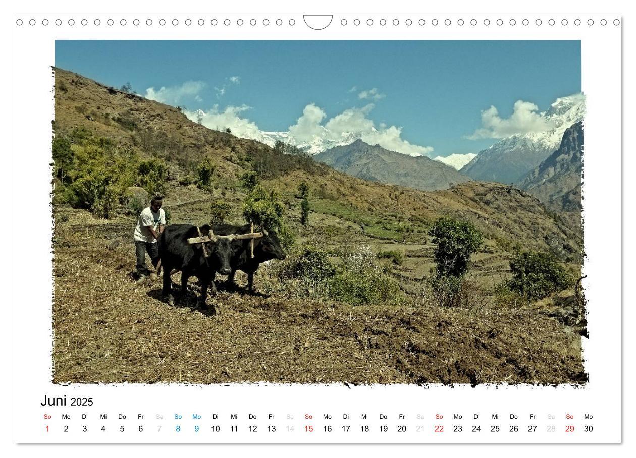 Bild: 9783435546732 | BEGEGNUNGEN IN NEPAL (Wandkalender 2025 DIN A3 quer), CALVENDO...