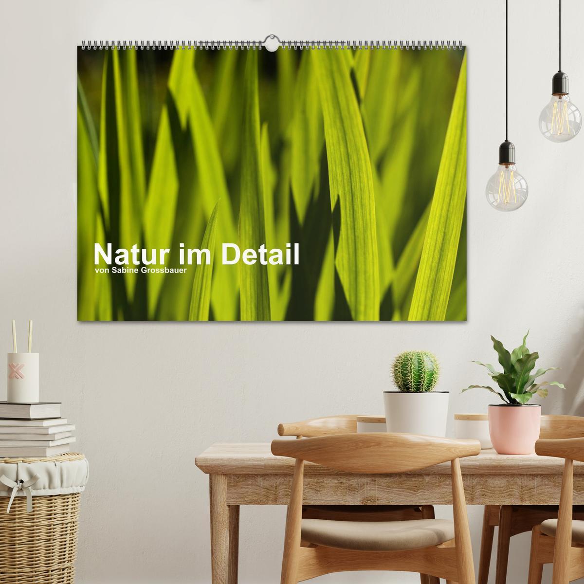 Bild: 9783435802128 | Natur im Detail (Wandkalender 2025 DIN A2 quer), CALVENDO...