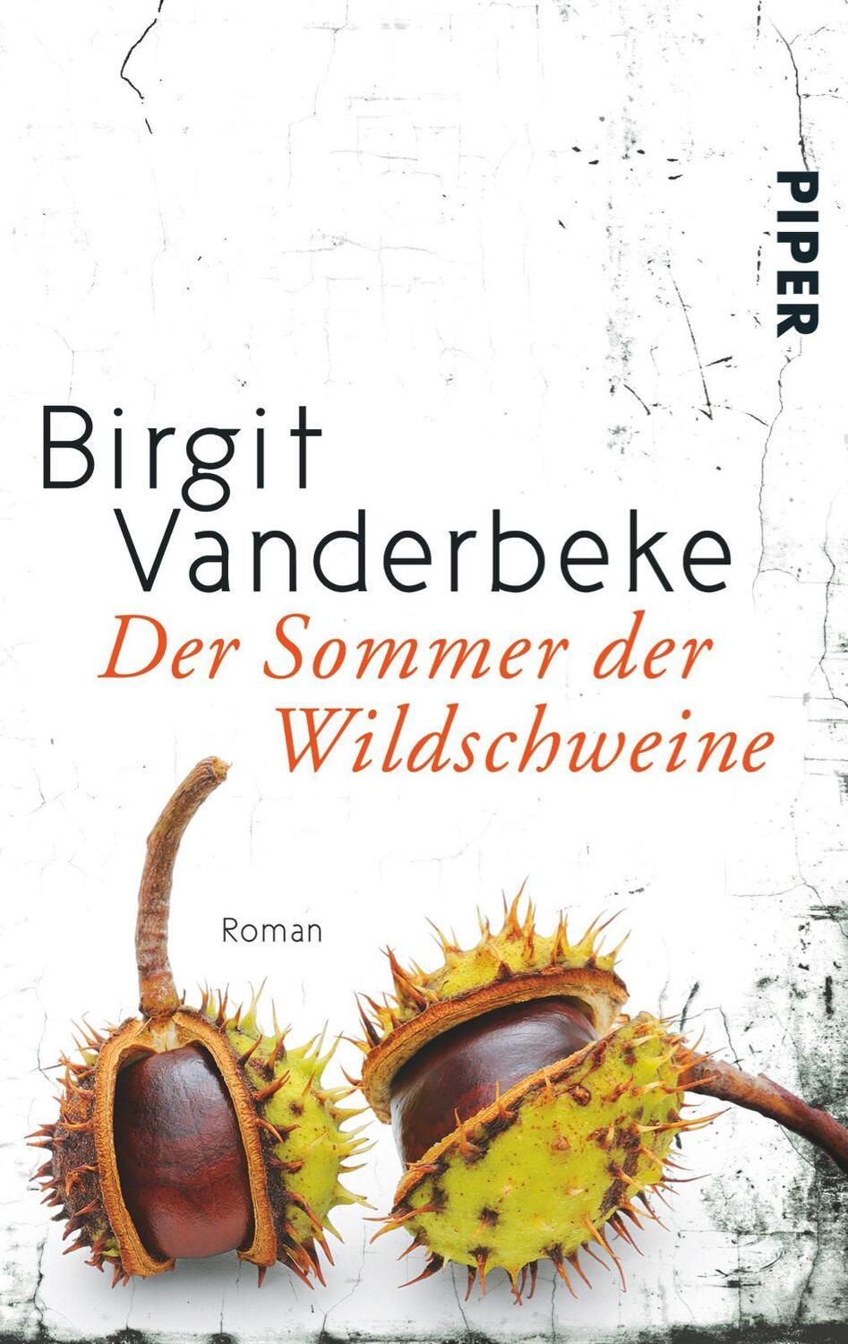 Cover: 9783492305594 | Der Sommer der Wildschweine | Birgit Vanderbeke | Taschenbuch | 2015
