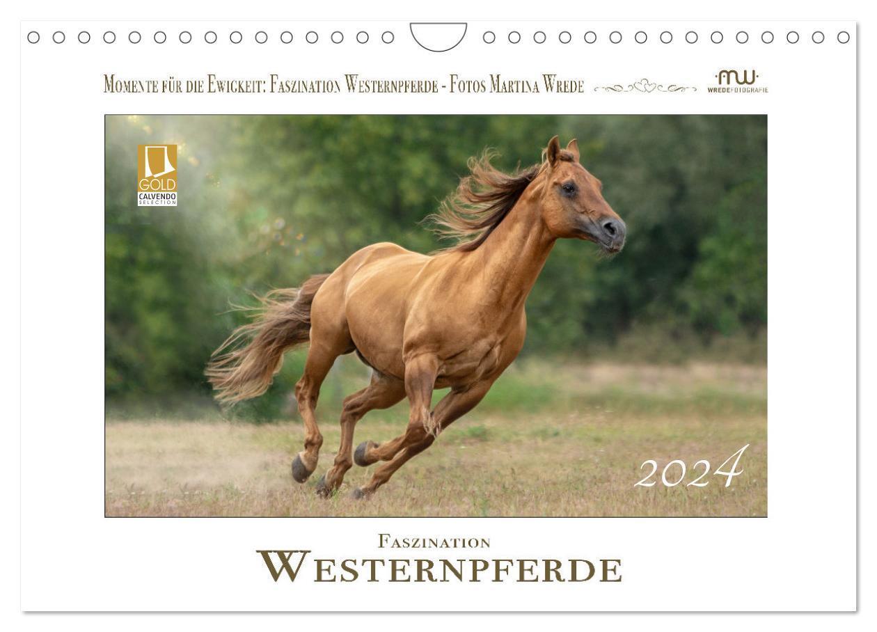 Cover: 9783675552425 | Faszination Westernpferde (Wandkalender 2024 DIN A4 quer), CALVENDO...