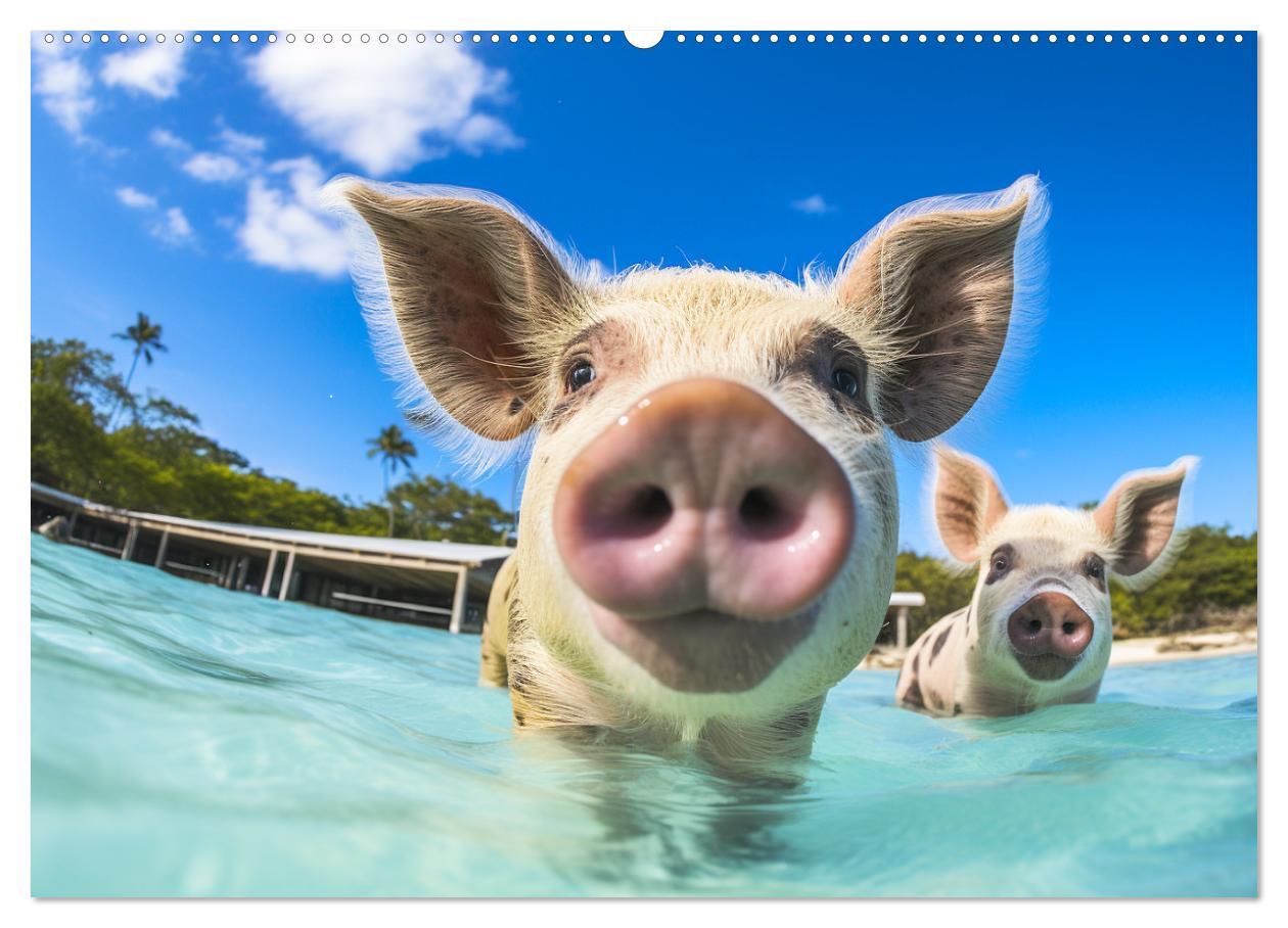 Bild: 9783383834387 | Schweinereien in der Karibik. Sonne und Spaß mit schwimmenden...