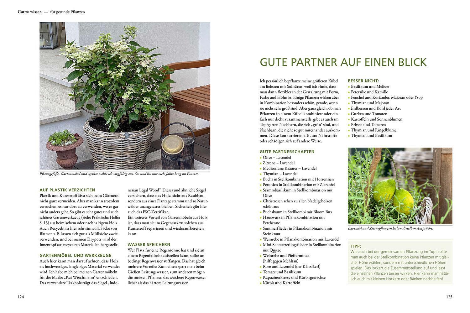 Bild: 9783440177877 | Mein wunderbarer Topfgarten | Tina Ullmann | Buch | 144 S. | Deutsch